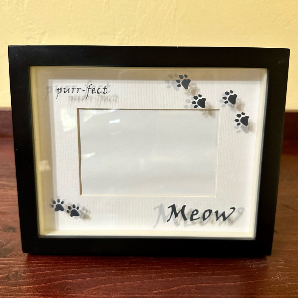 Cat Shadow Box Style Picture Frame